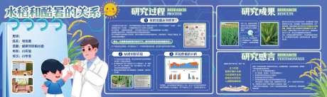 水稻研究-采灵感-https://www.cailinggan.com/