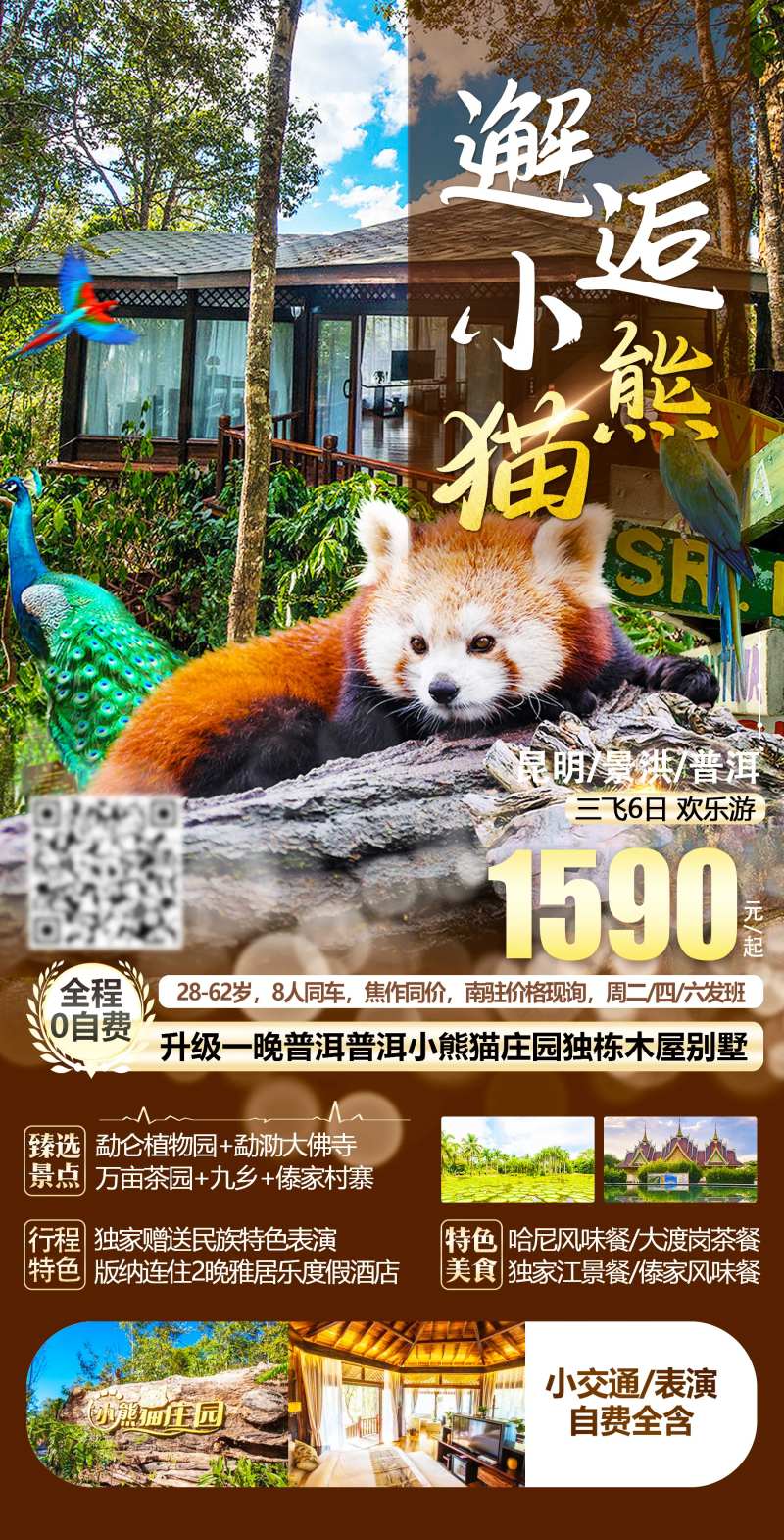 邂逅小熊猫旅游海报-采灵感-cailinggan.com