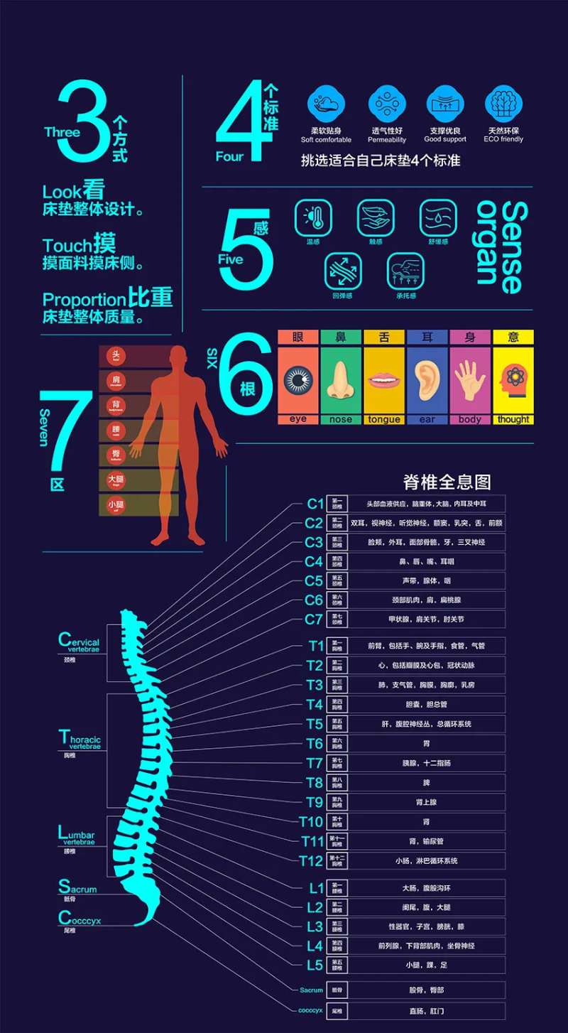 脊椎展厅灯箱海报-采灵感-cailinggan.com