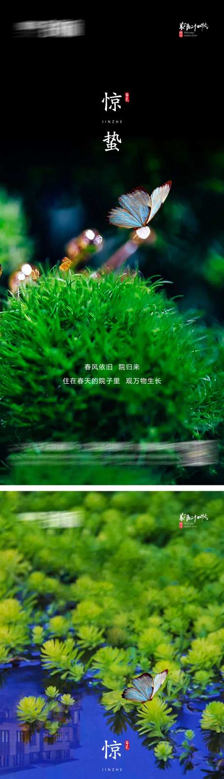 惊蛰-采灵感-cailinggan.com