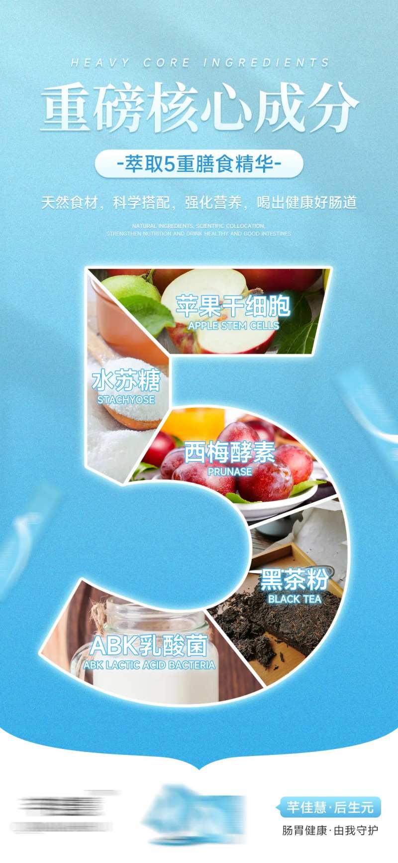 微商肠道健康产品成分海报-采灵感-cailinggan.com