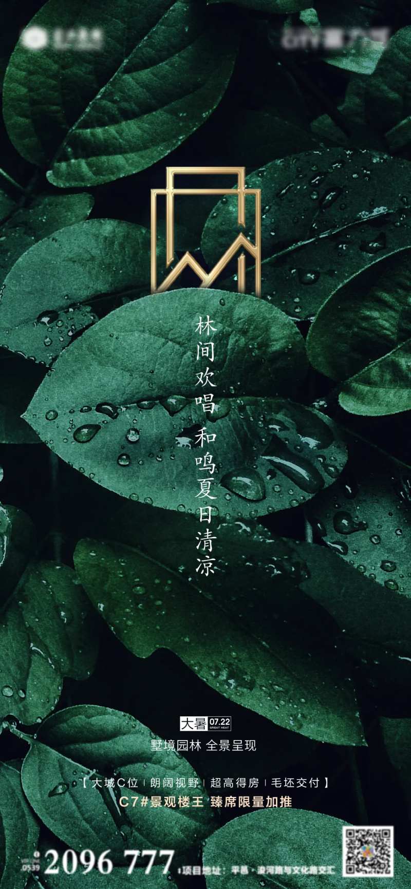 大暑节气海报-采灵感-cailinggan.com