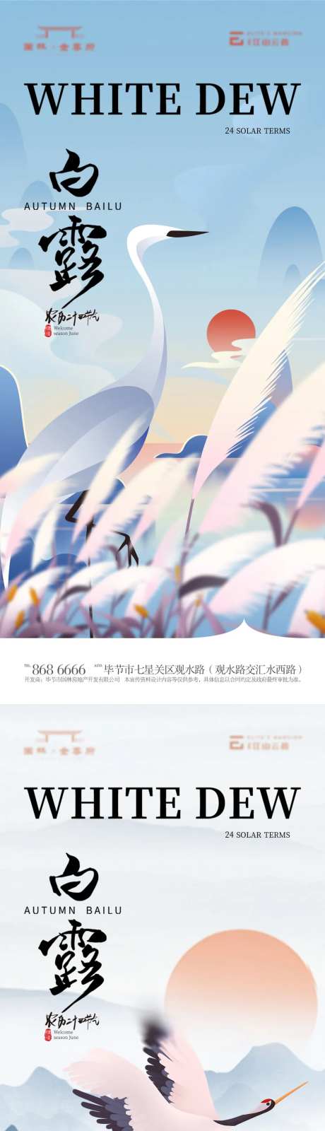 白露节气移动端海报-采灵感-cailinggan.com