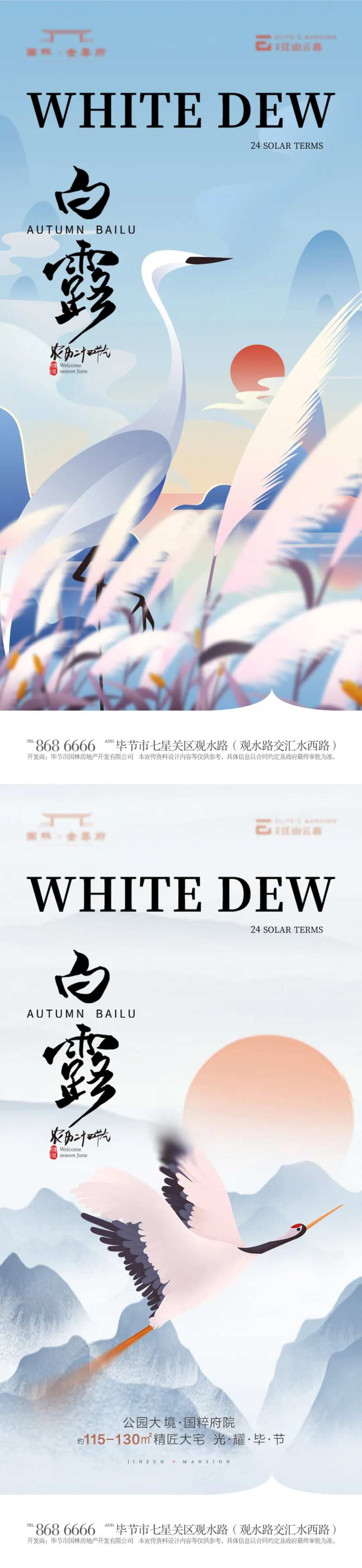 白露节气移动端海报-采灵感-cailinggan.com