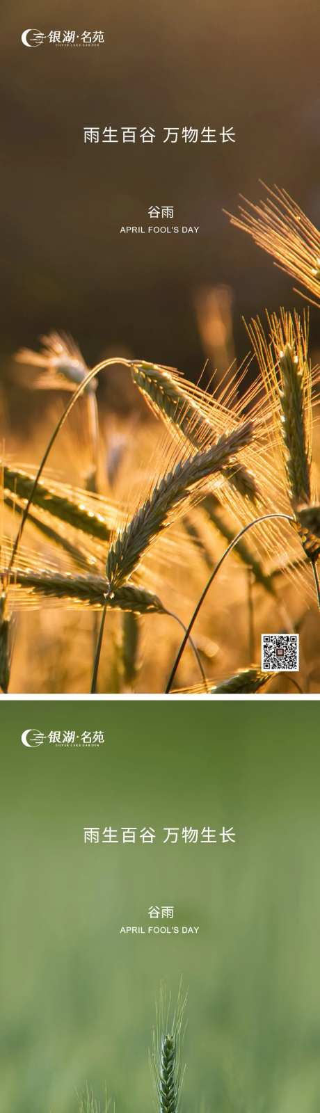 地产二十四节气谷雨海报-采灵感-https://www.cailinggan.com/