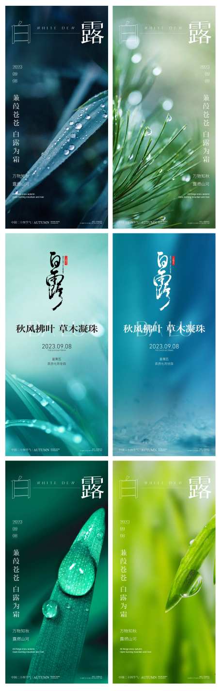 白露寒露二十四时节日节气稿-采灵感-https://www.cailinggan.com/