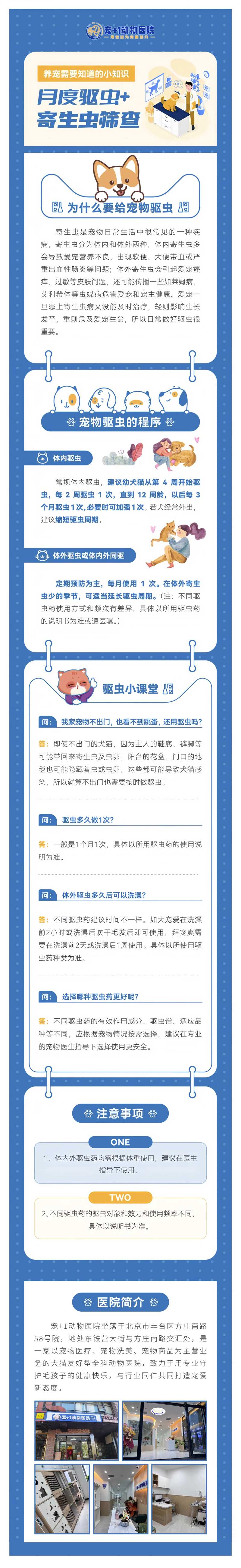 宠物驱虫-采灵感-cailinggan.com