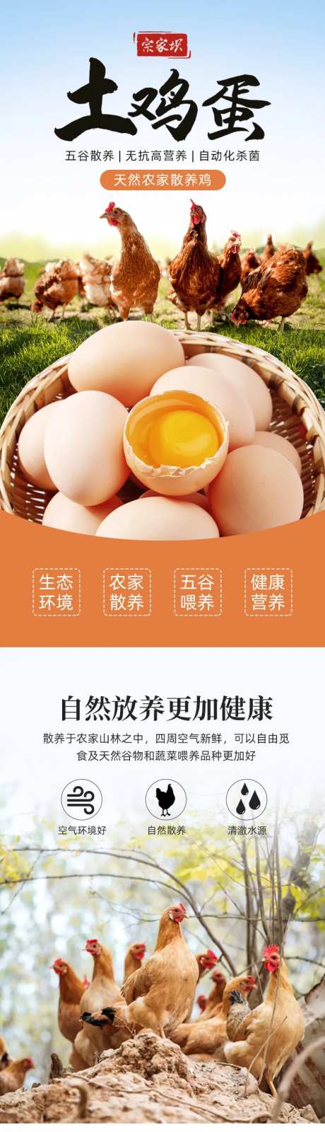 土鸡蛋促销电商详情页-采灵感-https://www.cailinggan.com/