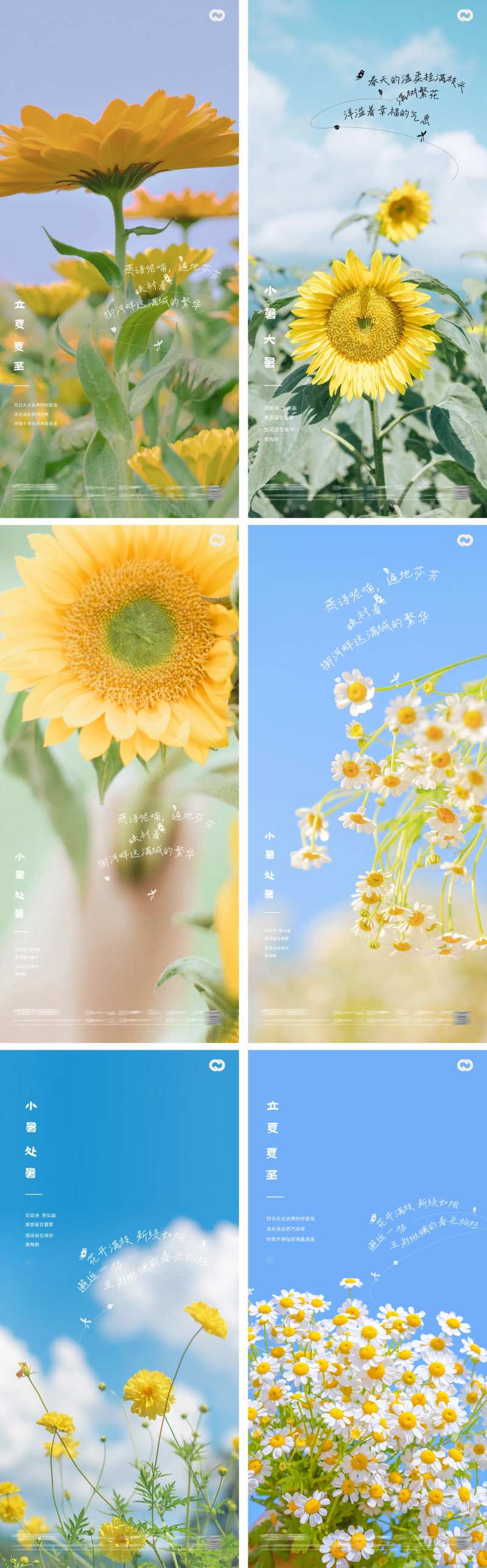 立夏夏至小暑大暑处暑24节气花卉海报-采灵感-cailinggan.com