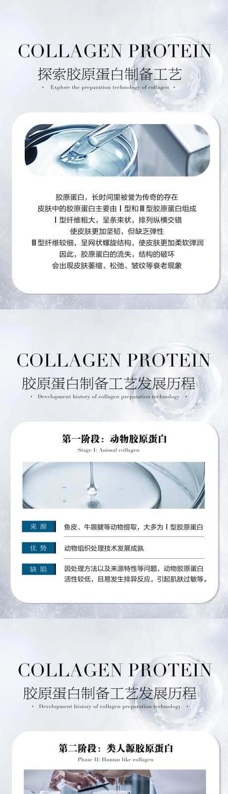探索胶原蛋白的制备工艺tips分享-采灵感-https://www.cailinggan.com/