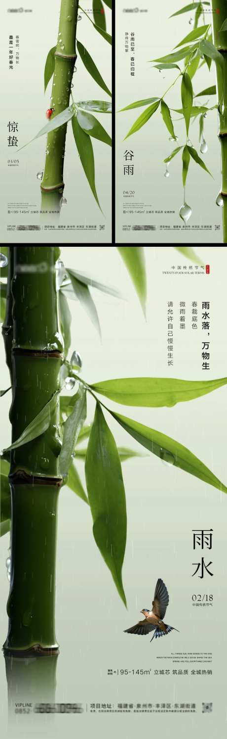 雨水惊蛰谷雨房地产竹子系列海报-采灵感-https://www.cailinggan.com/