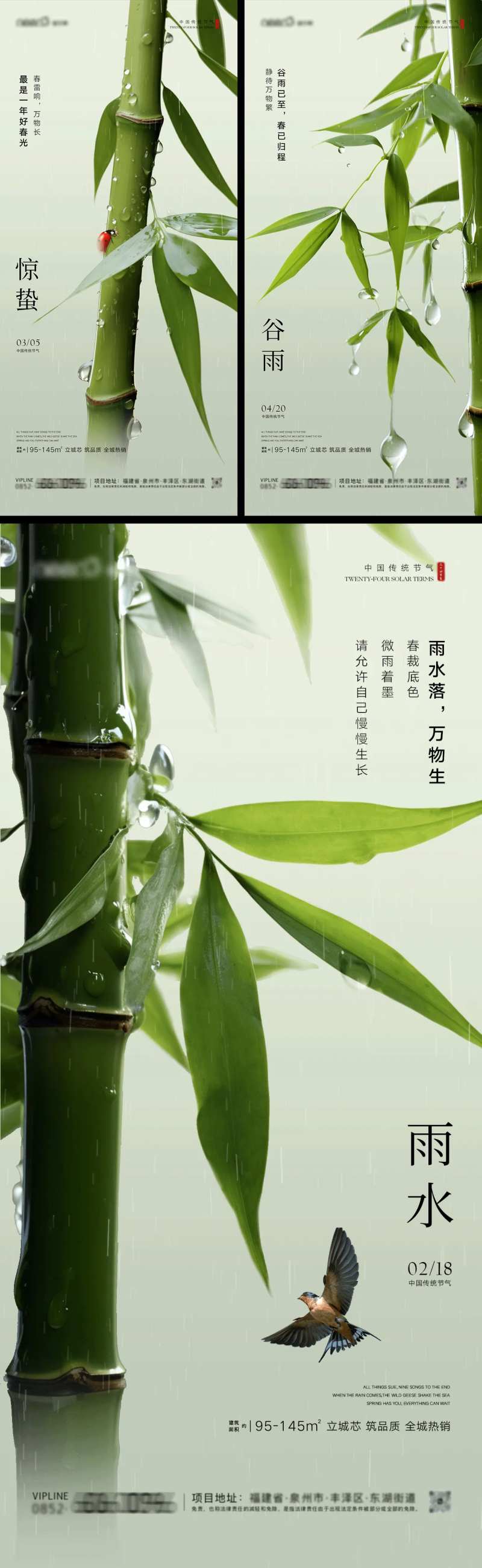 雨水惊蛰谷雨房地产竹子系列海报-采灵感-cailinggan.com
