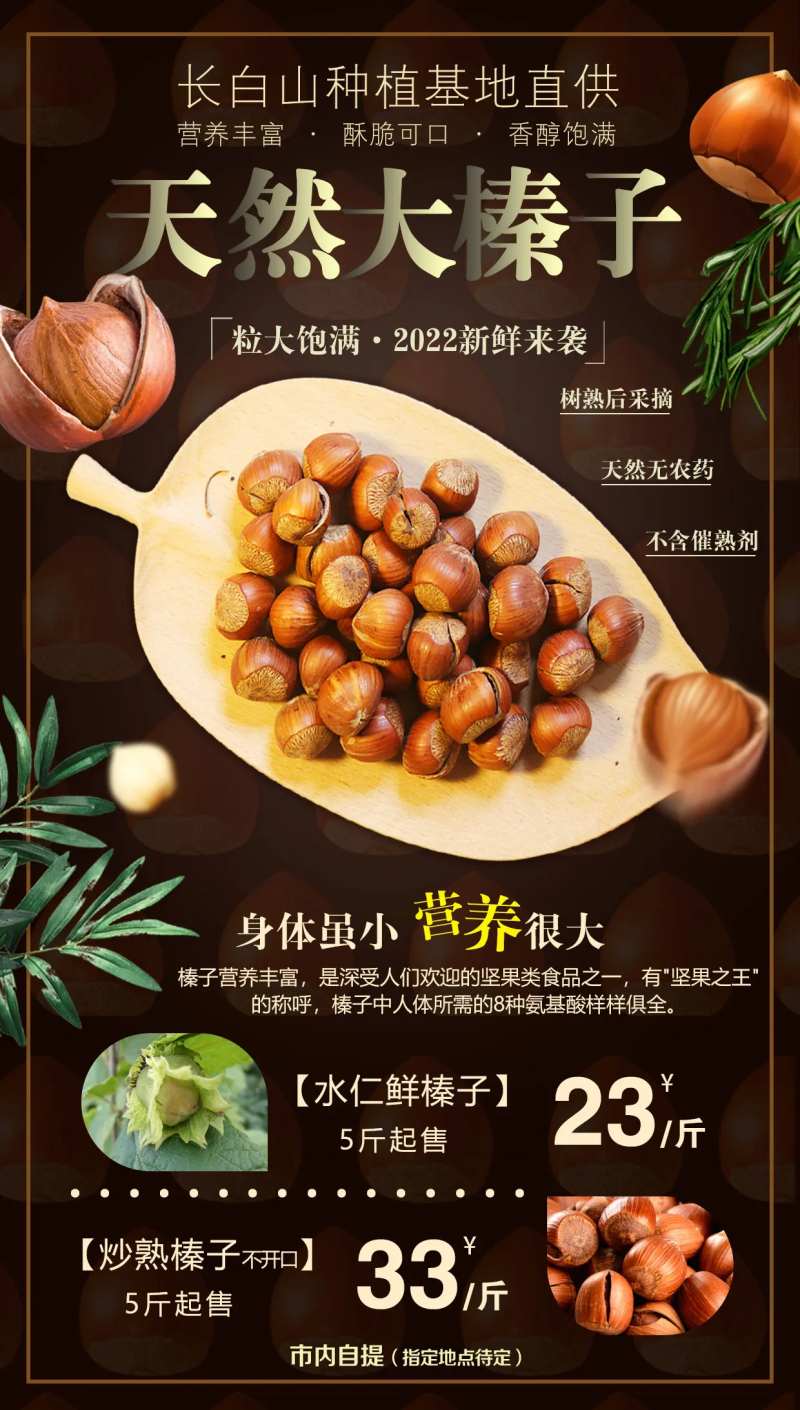 长白山天然榛子坚果批发零售海报-采灵感-cailinggan.com