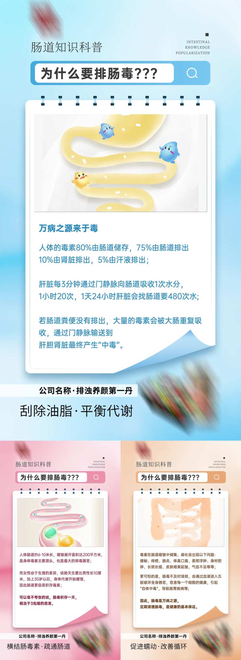 肠道排毒的重要性海报-采灵感-cailinggan.com