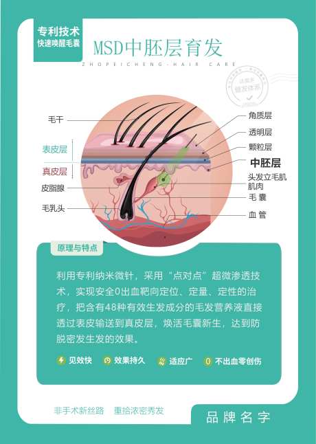 植发毛囊图宣传海报展板-采灵感-https://www.cailinggan.com/