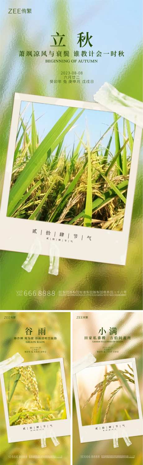 立秋小满谷雨系列海报-采灵感-https://www.cailinggan.com/