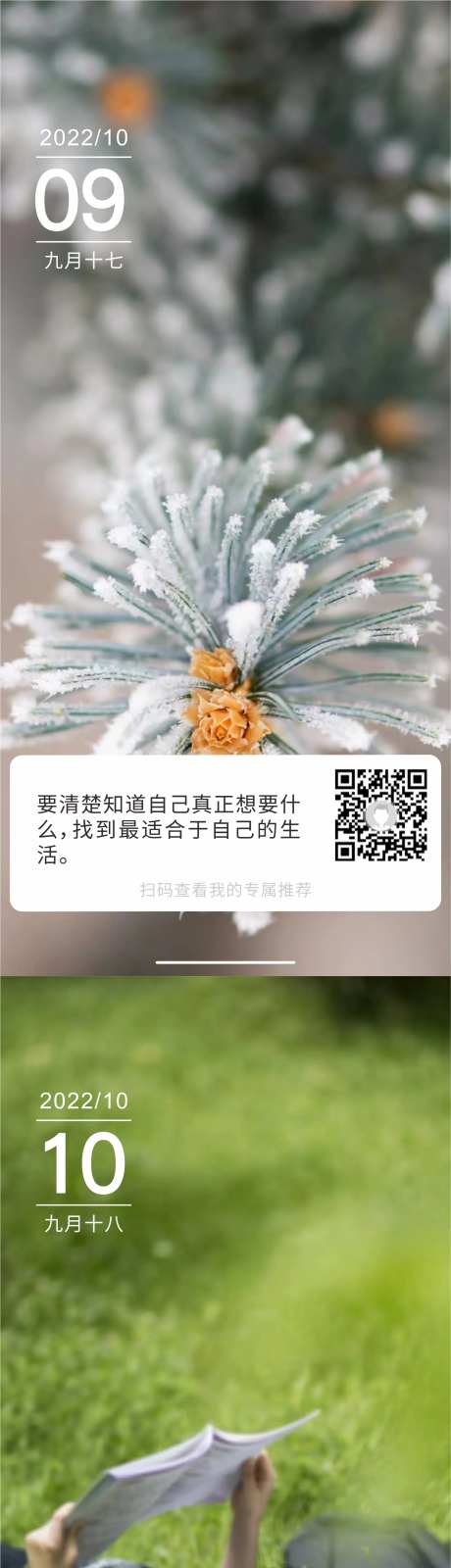 早安寄语海报-采灵感-https://www.cailinggan.com/