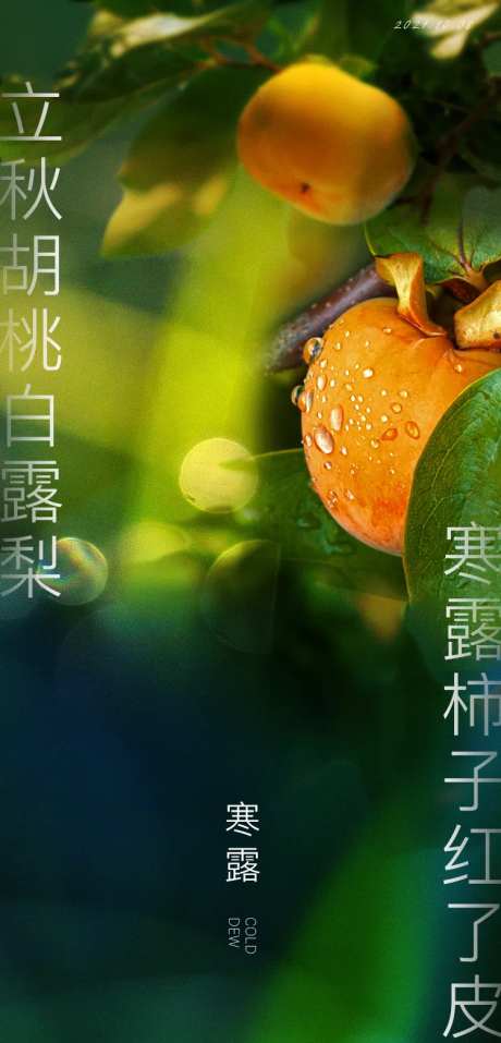 节气寒露海报-采灵感-https://www.cailinggan.com/