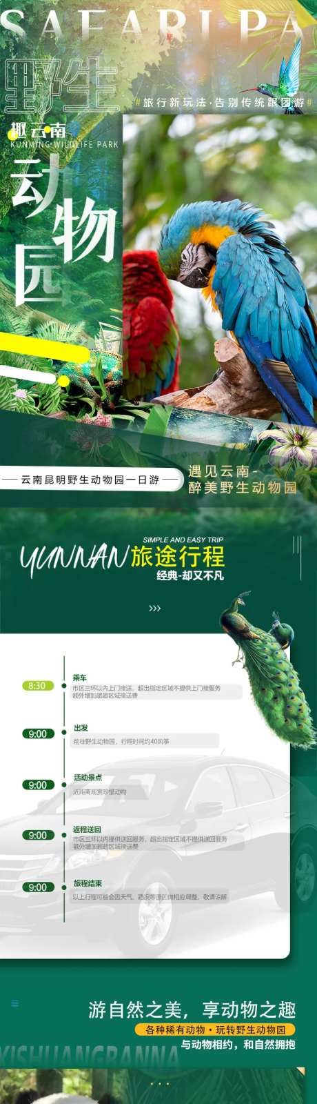 云南昆明野生动物园旅游详情页-采灵感-https://www.cailinggan.com/