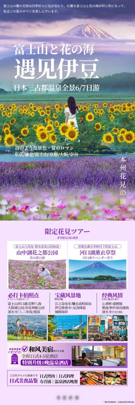 日本富士山花海盛宴长图-采灵感-https://www.cailinggan.com/