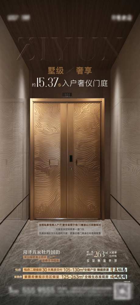 样板间入户门价值海报-采灵感-https://www.cailinggan.com/