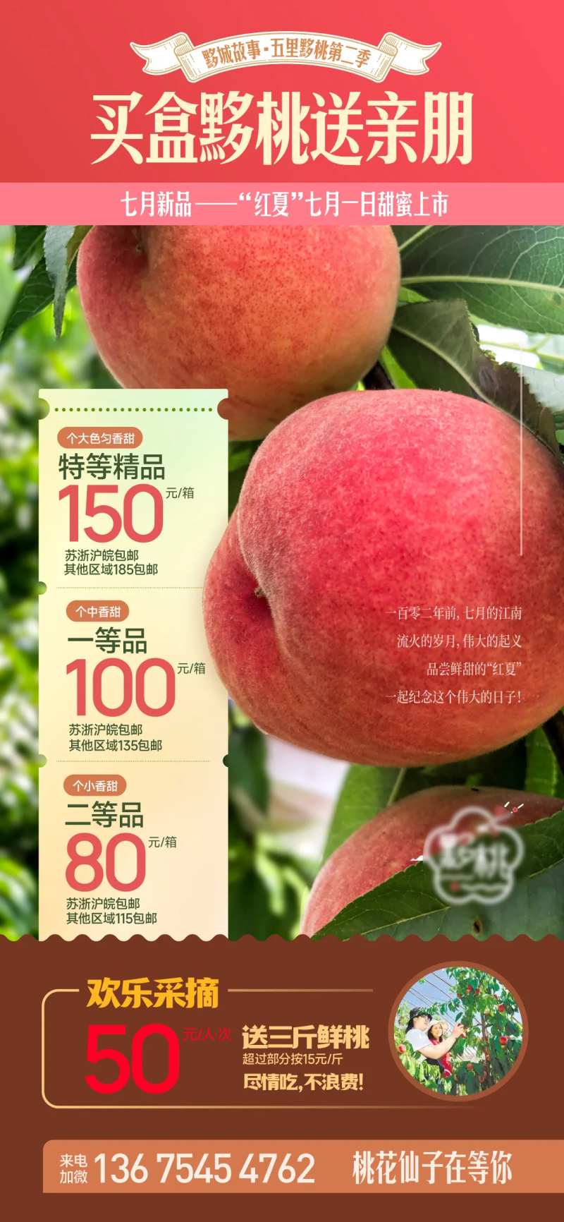 桃子上市海报-采灵感-cailinggan.com