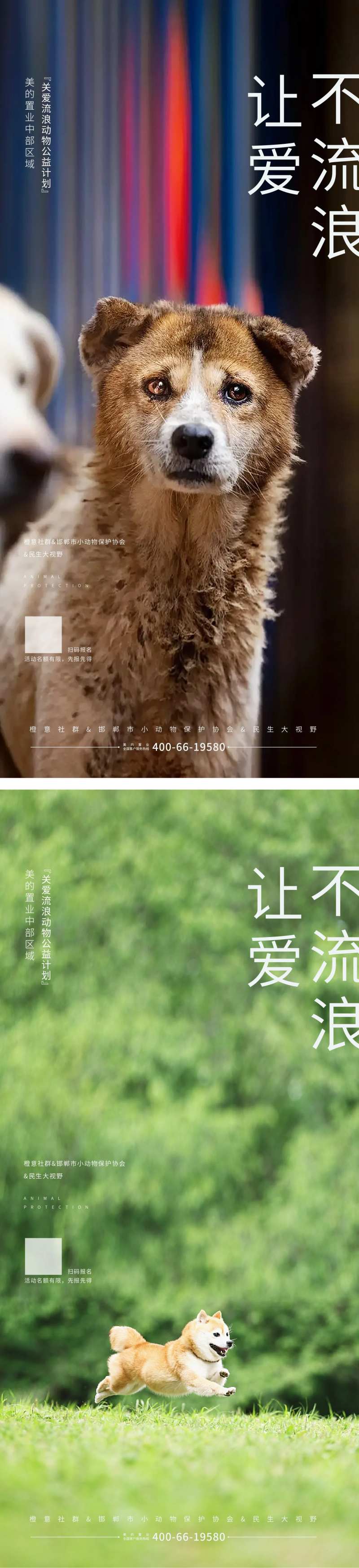 流浪狗公益海报-采灵感-cailinggan.com