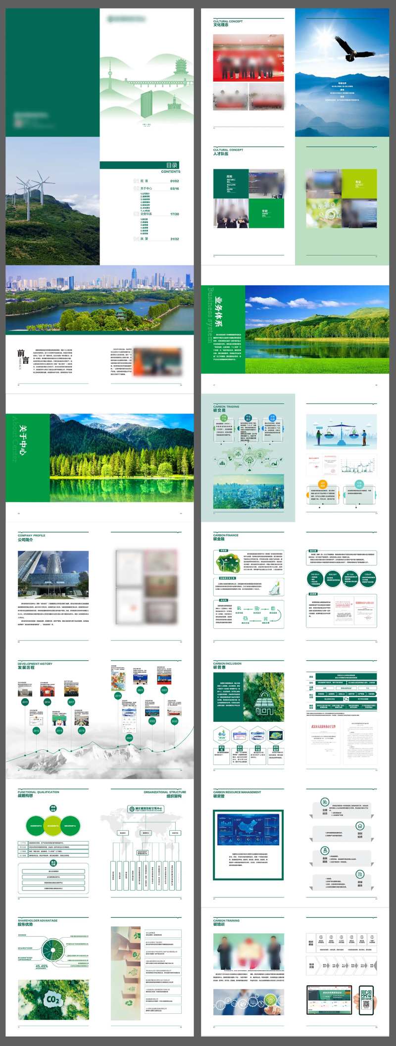 企业碳环保画册-采灵感-cailinggan.com