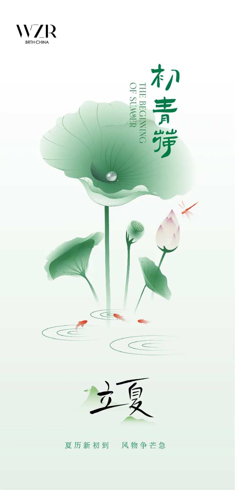 立夏节气海报-采灵感-cailinggan.com