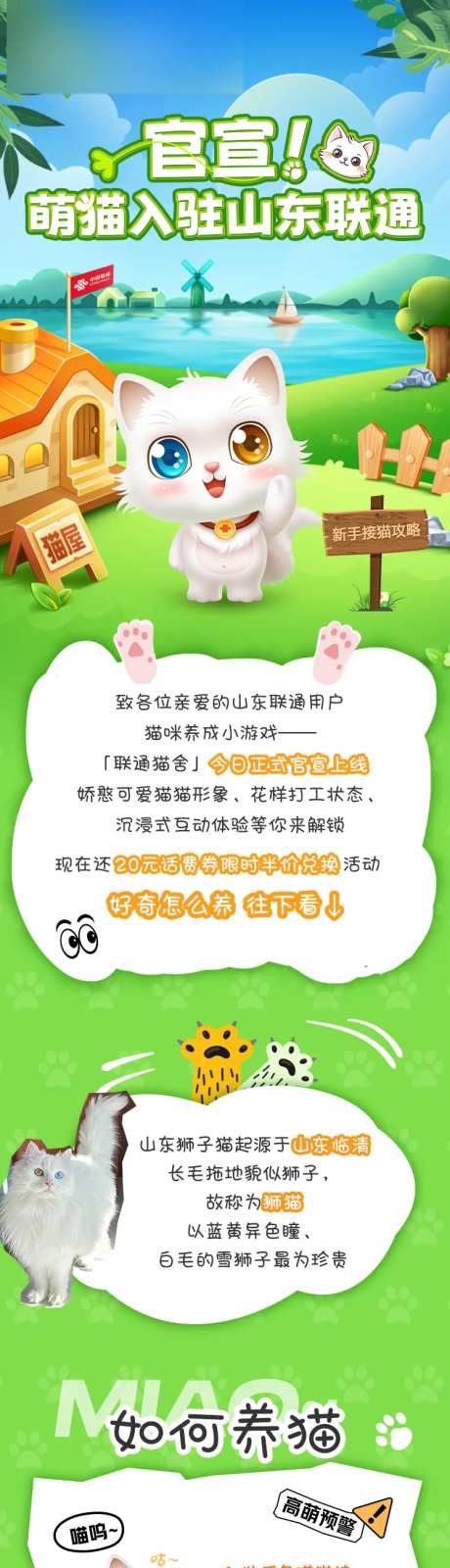 猫咪长图 -采灵感-https://www.cailinggan.com/