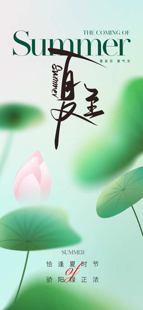 地产唯美夏至节气海报-采灵感-cailinggan.com