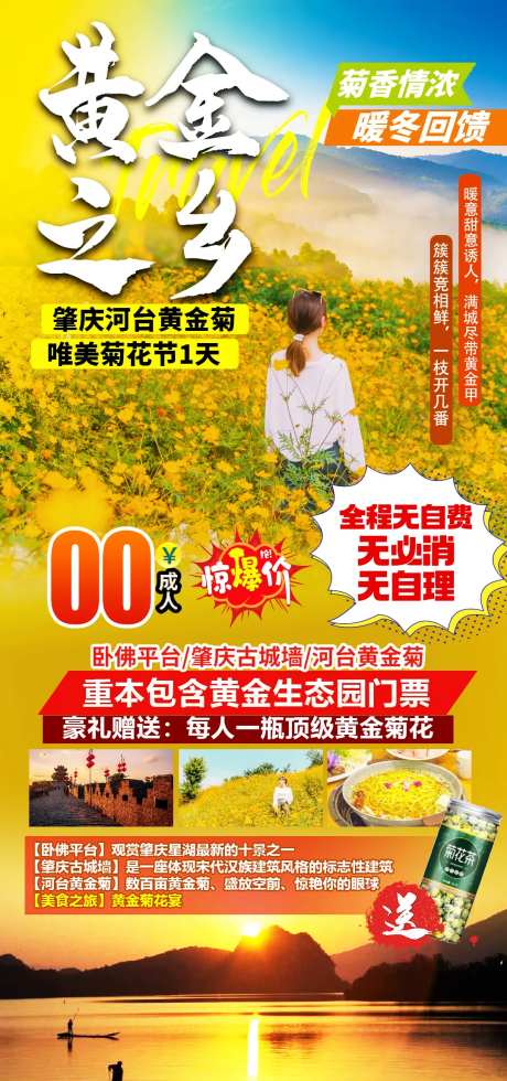 菊花旅游海报-采灵感-https://www.cailinggan.com/