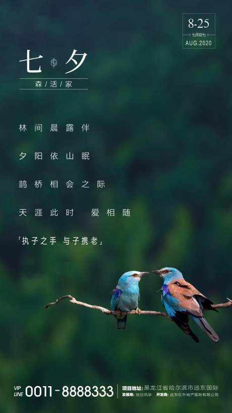 七夕情人节海报-采灵感-https://www.cailinggan.com/