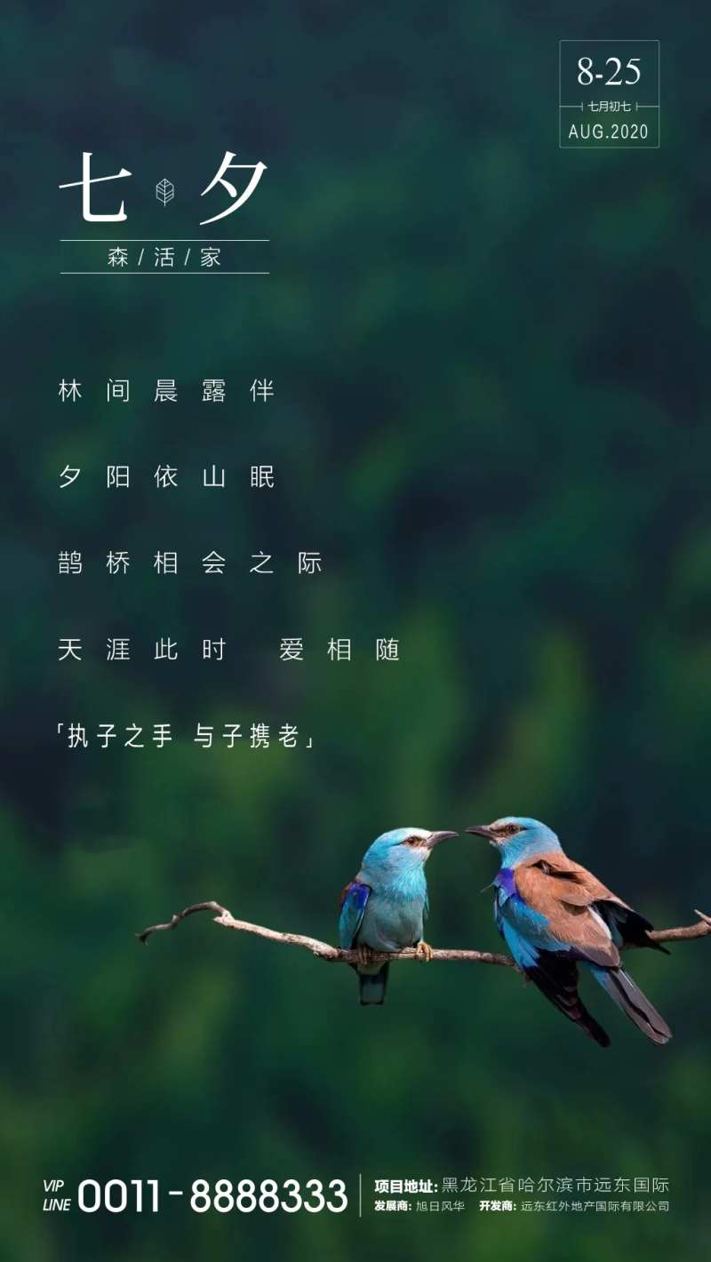 七夕情人节海报-采灵感-cailinggan.com