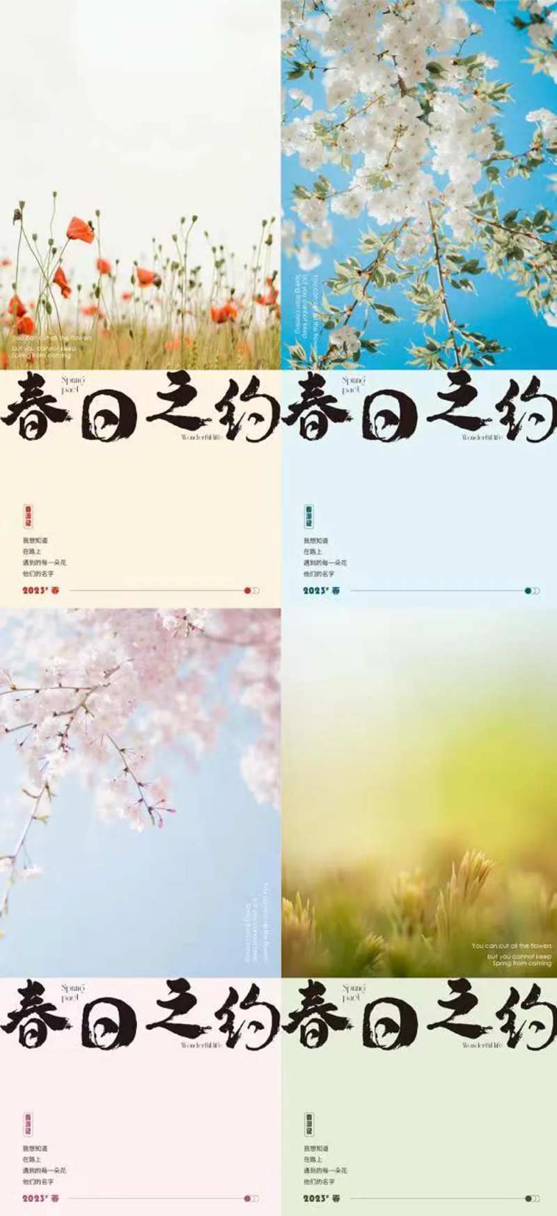 春日之约系列海报-采灵感-cailinggan.com