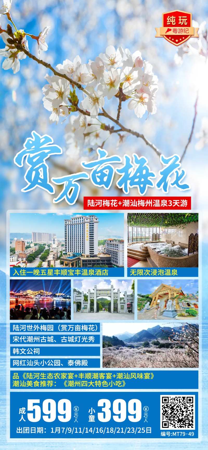 陆河梅花旅游海报-采灵感-cailinggan.com