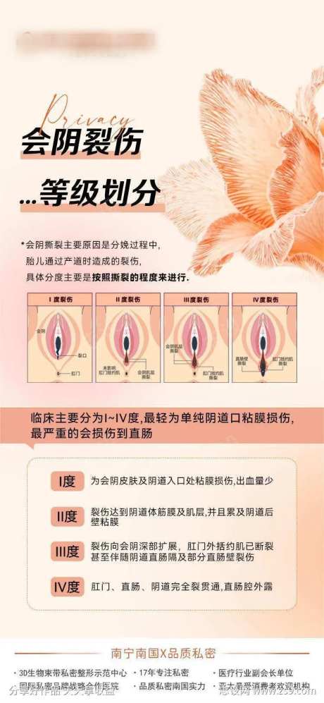 会阴裂伤等级划分-采灵感-https://www.cailinggan.com/