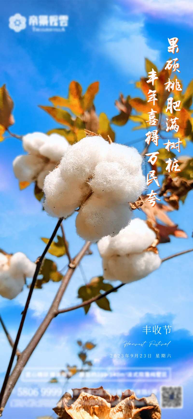 地产丰收节海报-采灵感-cailinggan.com