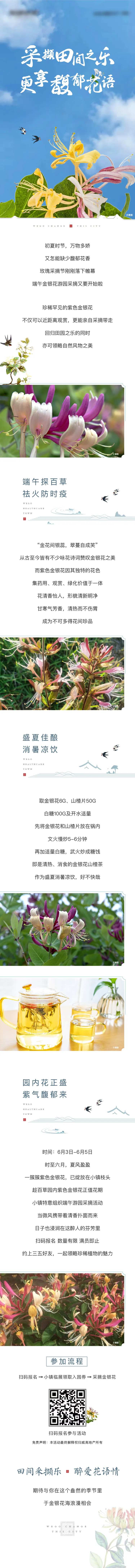 中式小镇金银花活动长图-采灵感-cailinggan.com