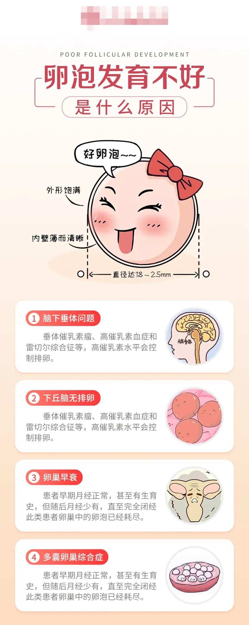 卵泡发育不好的原因是什么-采灵感-cailinggan.com