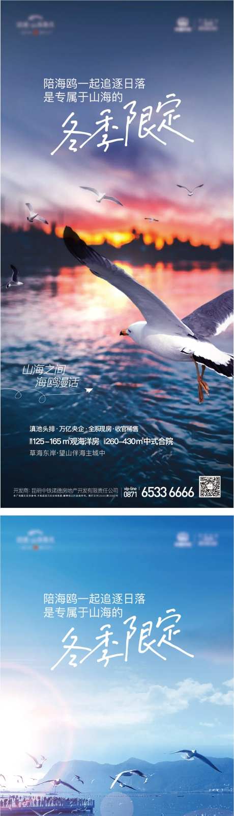 海鸥热点-采灵感-https://www.cailinggan.com/