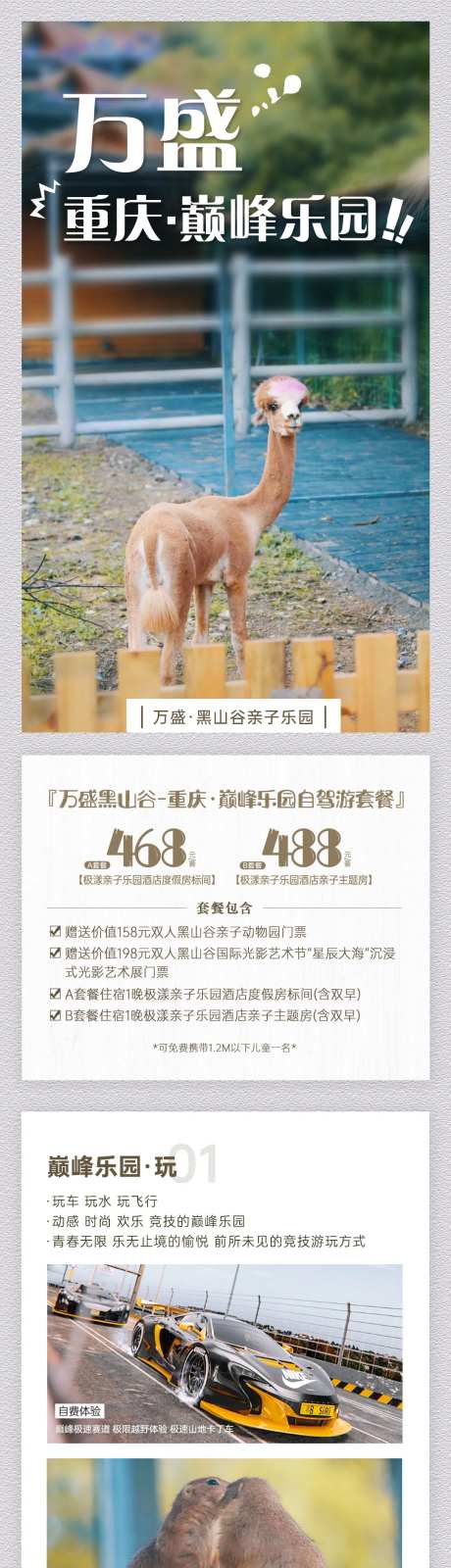 万盛巅峰乐园电商详情页-采灵感-https://www.cailinggan.com/
