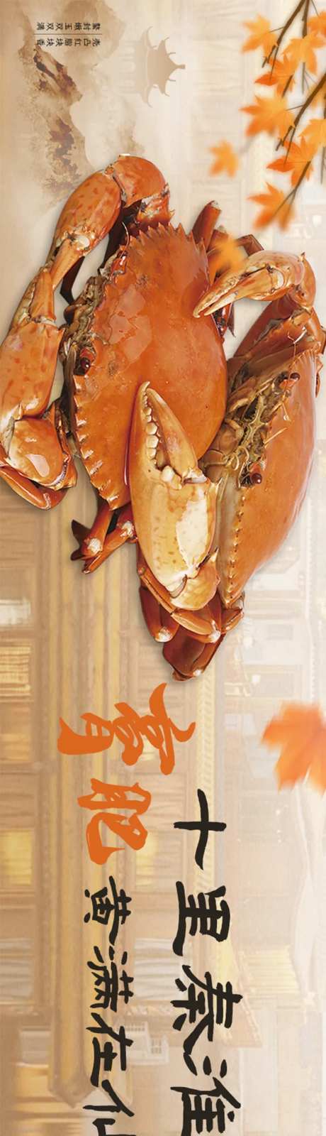 螃蟹秋季五图-采灵感-https://www.cailinggan.com/