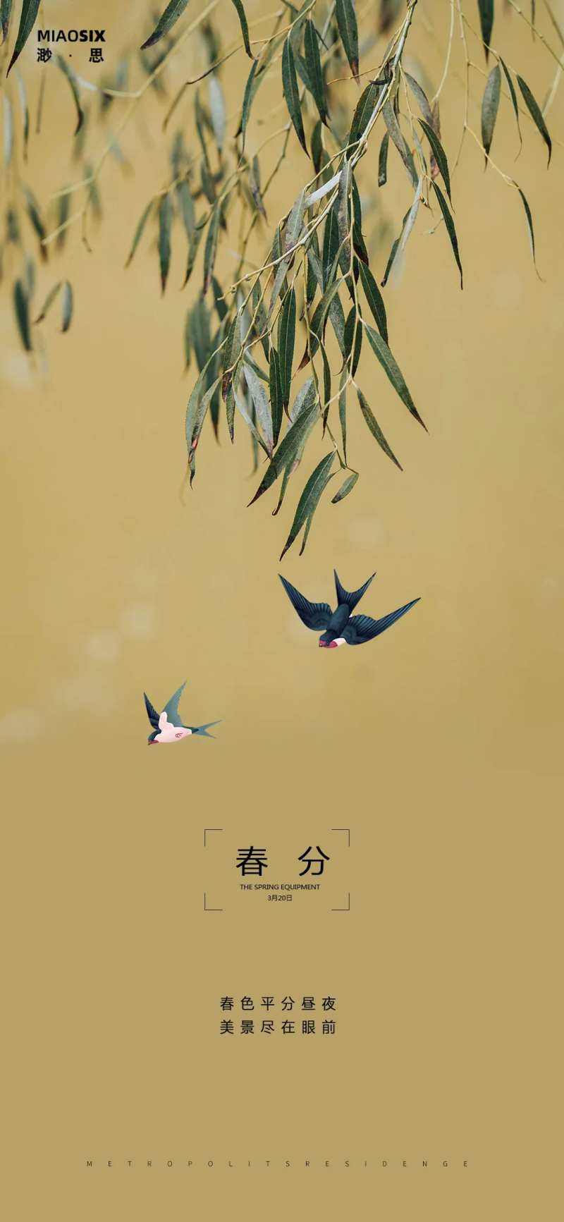 春分垂柳-采灵感-cailinggan.com