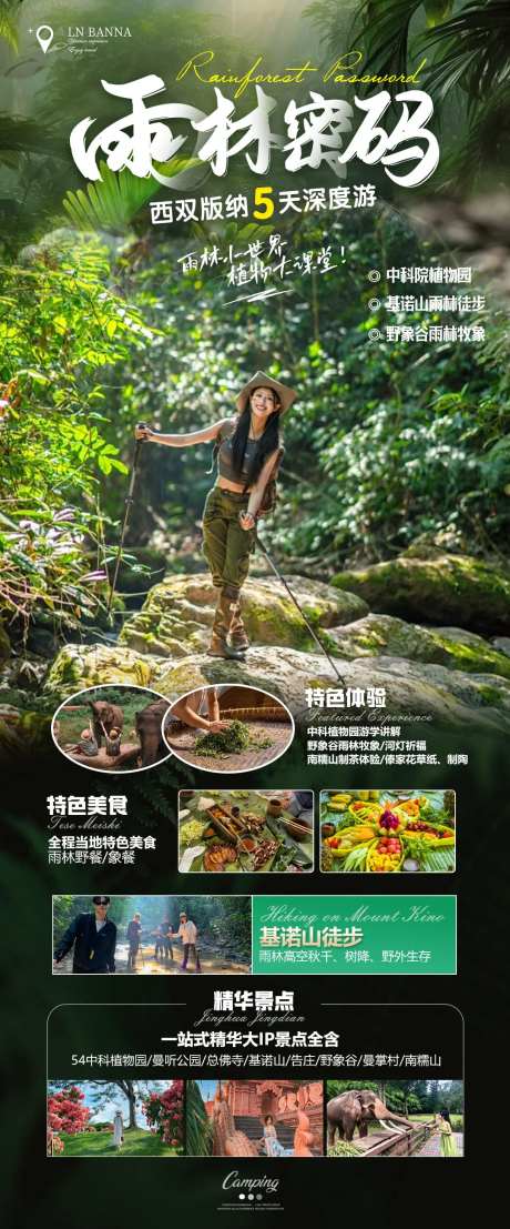 雨林密码-采灵感-https://www.cailinggan.com/