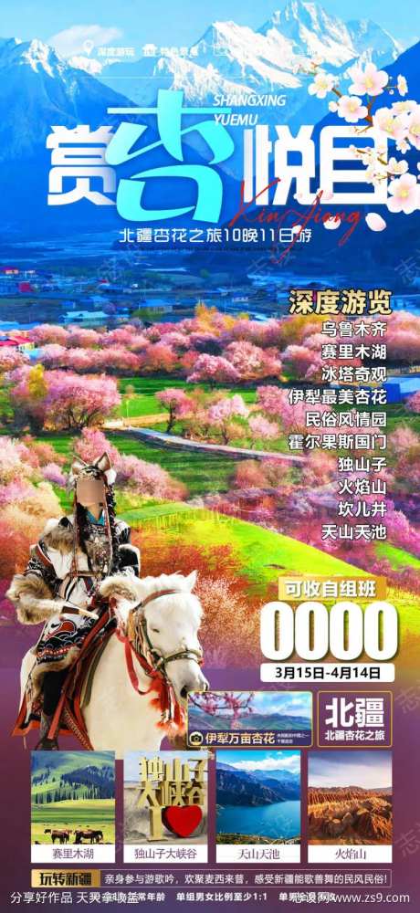 新疆南疆北疆杏花之旅游海报-采灵感-https://www.cailinggan.com/
