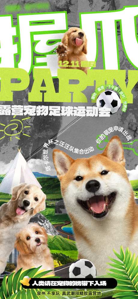 拼贴风营地宠物足球运动会活动海报-采灵感-https://www.cailinggan.com/