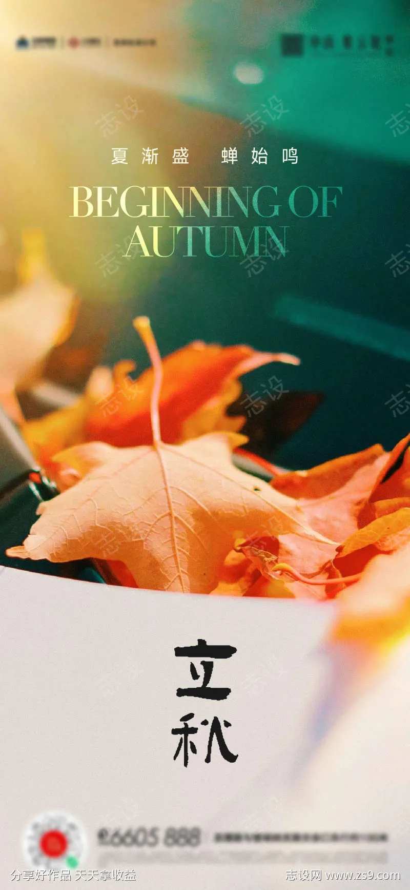 立秋秋分处暑海报-采灵感-cailinggan.com