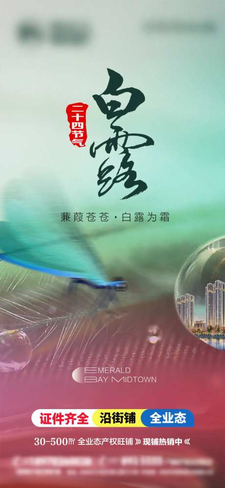 白露季节海报-采灵感-https://www.cailinggan.com/