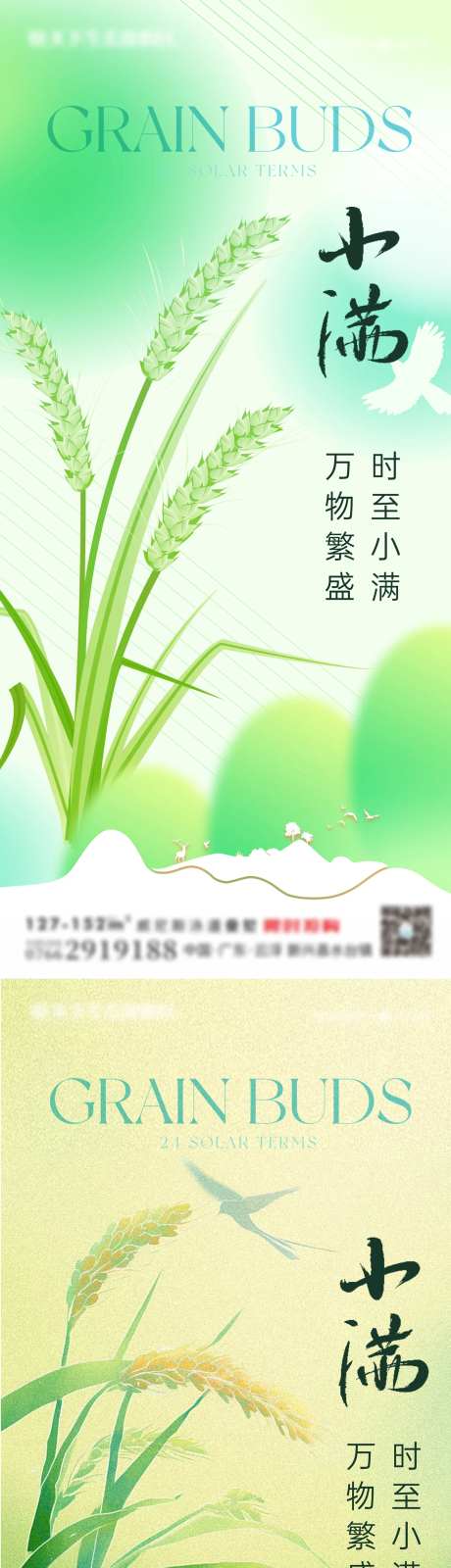 小满芒种节气稻穗麦-采灵感-https://www.cailinggan.com/